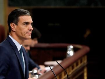 Pedro S&aacute;nchez, en el Congreso.