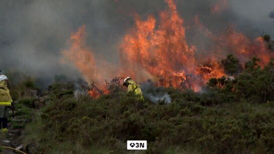 Acompa&ntilde;amos a los agentes forestales en una de estas actuaciones para saber c&oacute;mo trabajan