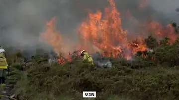 Acompañamos a los agentes forestales en una de estas actuaciones para saber cómo trabajan Acompañamos a los agentes forestales en una de estas actuaciones para saber cómo trabajan