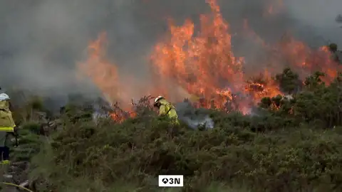 Acompañamos a los agentes forestales en una de estas actuaciones para saber cómo trabajan Acompañamos a los agentes forestales en una de estas actuaciones para saber cómo trabajan