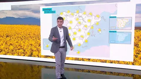 César Gonzalo César Gonzalo