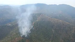 Zona agrícola incendiada en Pozoblanco (Córdoba) a causa del impacto de un rayo Zona agrícola incendiada en Pozoblanco (Córdoba) a causa del impacto de un rayo