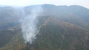 Zona agrícola incendiada en Pozoblanco (Córdoba) a causa del impacto de un rayo