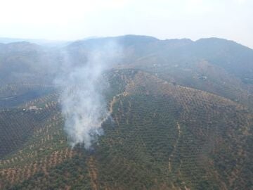 Zona agrícola incendiada en Pozoblanco (Córdoba) a causa del impacto de un rayo Zona agrícola incendiada en Pozoblanco (Córdoba) a causa del impacto de un rayo