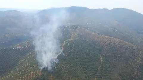 Zona agrícola incendiada en Pozoblanco (Córdoba) a causa del impacto de un rayo Zona agrícola incendiada en Pozoblanco (Córdoba) a causa del impacto de un rayo