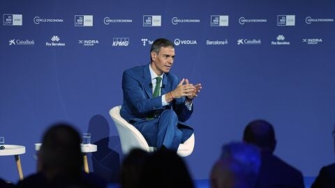 Pedro S&aacute;nchez