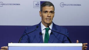 Imagen de Pedro S&aacute;nchez