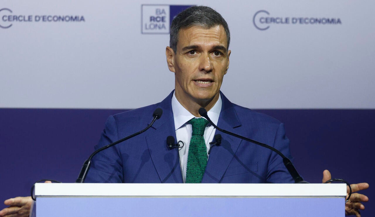 Imagen de Pedro S&aacute;nchez