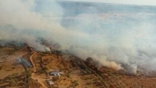 Contin&uacute;a activo el incendio de Huelva con 1.000 hect&aacute;reas calcinadas, se movilizan nuevos medios a&eacute;reos y terrestres