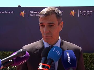 Pedro S&aacute;nchez