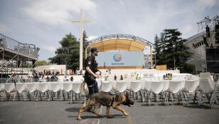 Dispositivo de seguridad por la visita del Papa