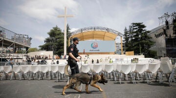 Dispositivo de seguridad por la visita del Papa