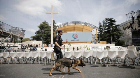 Dispositivo de seguridad por la visita del Papa