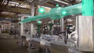 Mol&eacute;culas verdes y reducci&oacute;n de la dependencia energ&eacute;tica