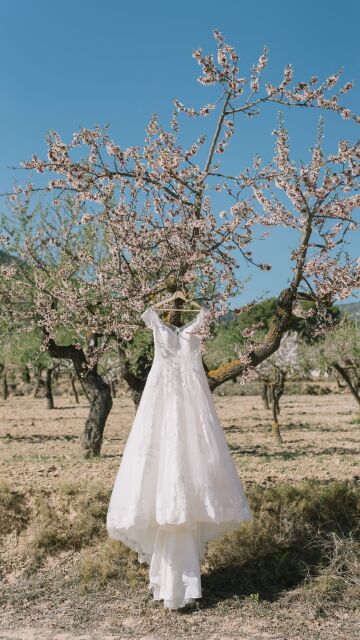 Vestido de novia