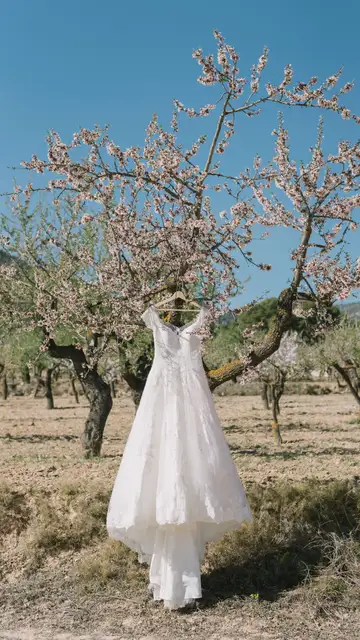 Vestido de novia Vestido de novia
