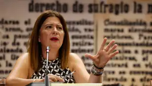 Imagen de Leire Díez, exmilitante socialista, durante su comparecencia en el Senado