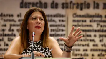 Imagen de Leire Díez, exmilitante socialista, durante su comparecencia en el Senado Imagen de Leire Díez, exmilitante socialista, durante su comparecencia en el Senado
