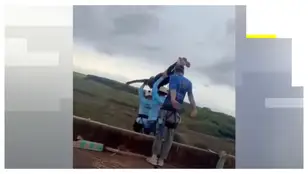 Puenting Brasil