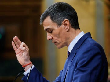 Imagen del presidente del Gobierno, Pedro S&aacute;nchez
