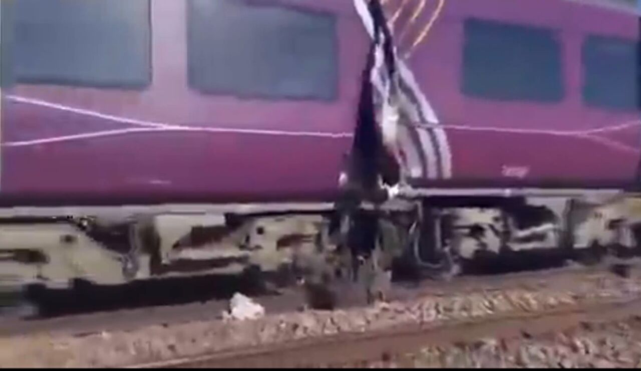 Dos trenes colisionan en Bedford 