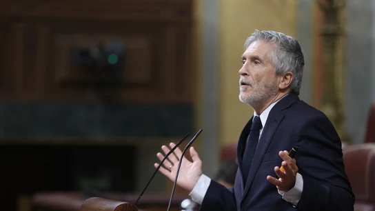 Marlaska en el Congreso de los Diputados Marlaska en el Congreso de los Diputados