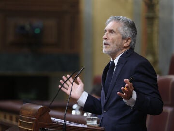 Marlaska en el Congreso de los Diputados