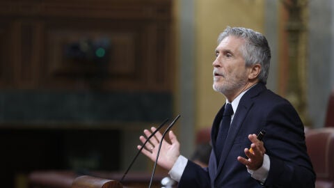 Marlaska en el Congreso de los Diputados