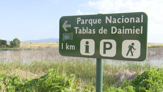 Parque Nacional Tablas de Daimiel