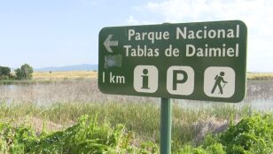 Parque Nacional Tablas de Daimiel