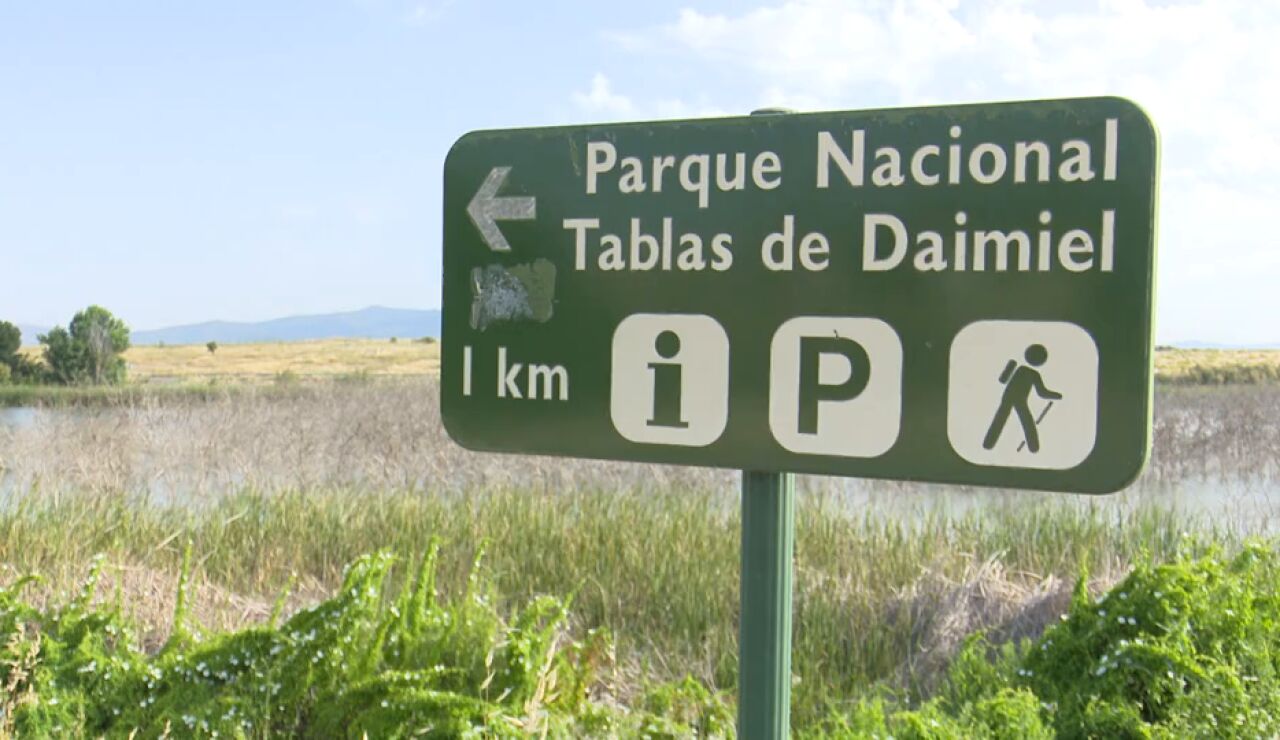Parque Nacional Tablas de Daimiel