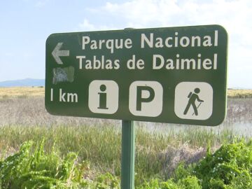 Parque Nacional Tablas de Daimiel