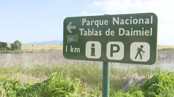 Parque Nacional Tablas de Daimiel Parque Nacional Tablas de Daimiel