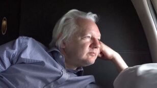 Julian Assange