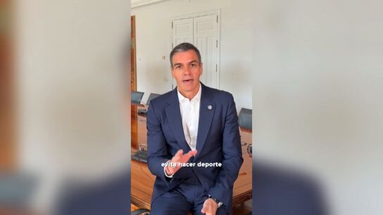 Pedro S&aacute;nchez
