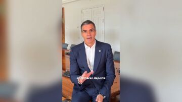 Pedro S&aacute;nchez
