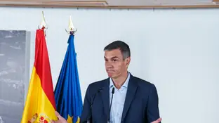 Pedro Sánchez asegura que seguirá "pese a las piedras en el camino" Pedro Sánchez asegura que seguirá "pese a las piedras en el camino"