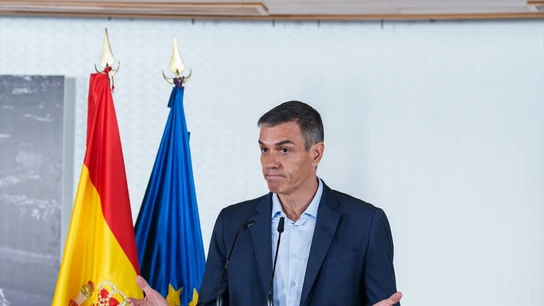 Pedro Sánchez asegura que seguirá "pese a las piedras en el camino" Pedro Sánchez asegura que seguirá "pese a las piedras en el camino"