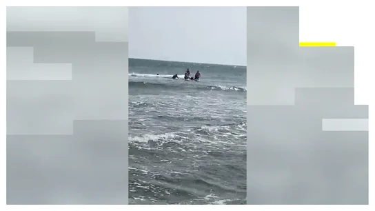 Rescatan en el mar al presunto agresor sexual que intentaba huir en Almería Rescatan en el mar al presunto agresor sexual que intentaba huir en Almería