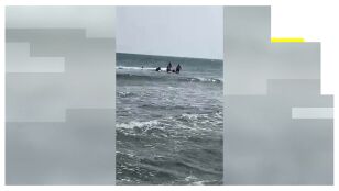 Rescatan en el mar al presunto agresor sexual que intentaba huir en Almer&iacute;a