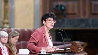 La diputada del PNV, Maribel Vaquero, durante una sesi&oacute;n plenaria en el Congreso de los Diputados.