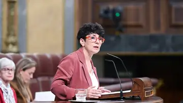 La diputada del PNV, Maribel Vaquero, durante una sesión plenaria en el Congreso de los Diputados. La diputada del PNV, Maribel Vaquero, durante una sesión plenaria en el Congreso de los Diputados.