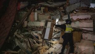 Dos espa&ntilde;oles muertos y 80 desaparecidos en los terremotos de Venezuela.