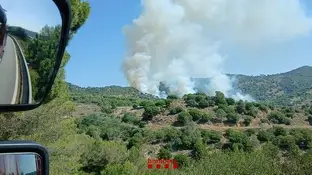 Piden el confinamiento de cuatro municipios de Barcelona por un incendio forestal con varios focos activos Incendio entre Tiana y Montgat