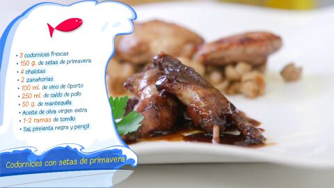 Ingredientes Codornices con setas de primavera