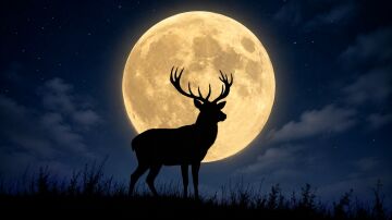 Calendario lunar julio 2026: descubre cu&aacute;ndo llega la Luna de ciervo, la primera luna llena del verano