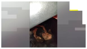 Terremoto en Venezuela