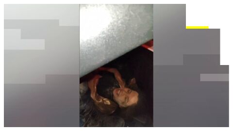 Terremoto en Venezuela