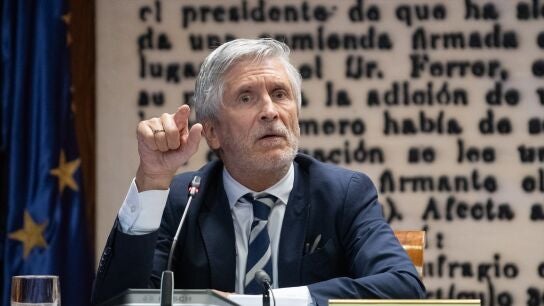Marlaska declarando en el Senado