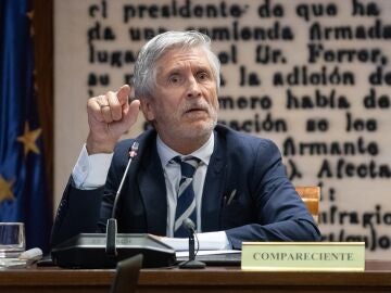 Marlaska declarando en el Senado